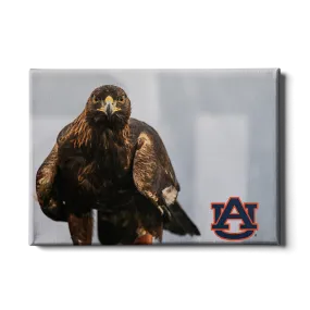 Auburn Tigers - War Eagle