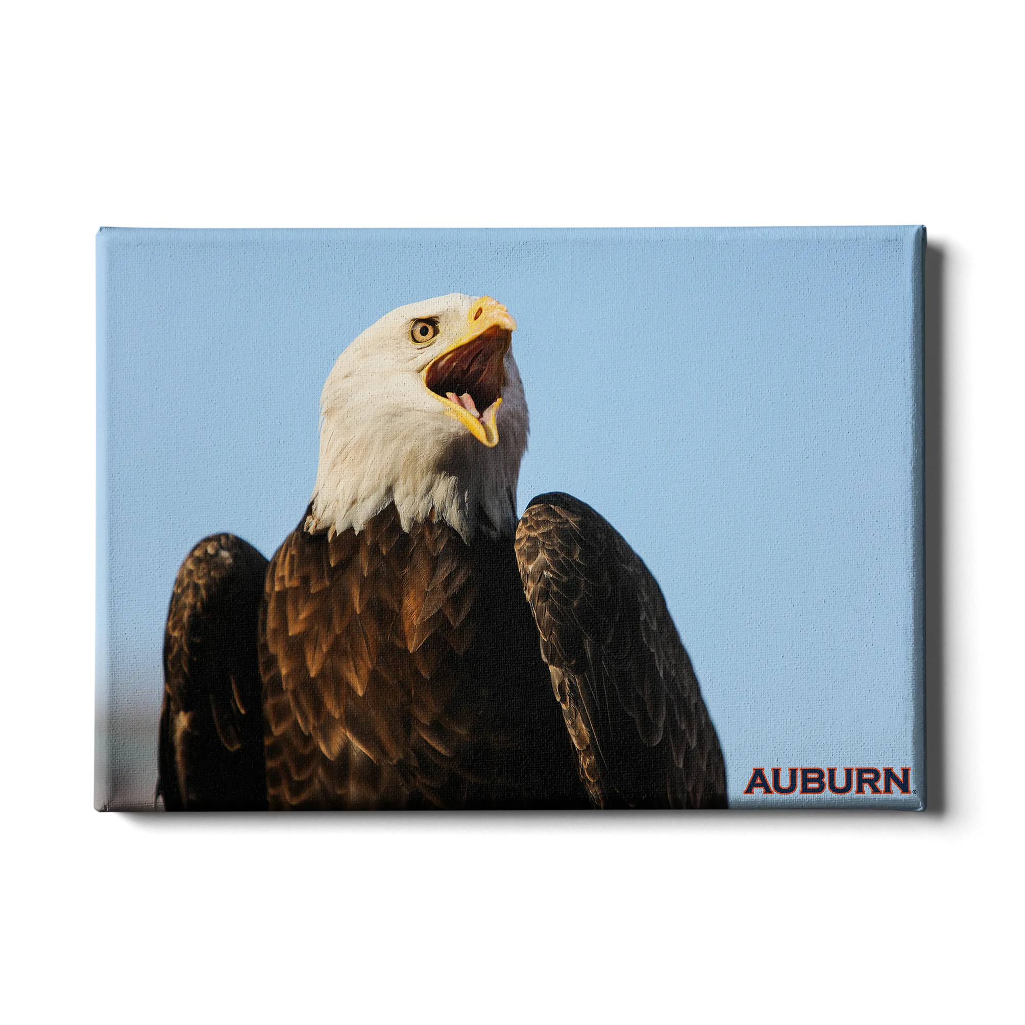 Auburn Tigers - War Eagle