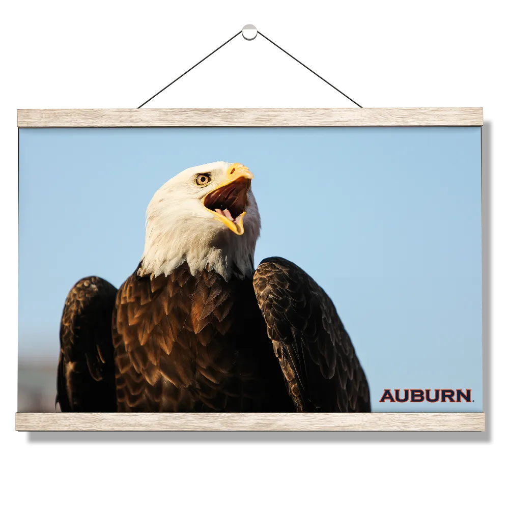 Auburn Tigers - War Eagle