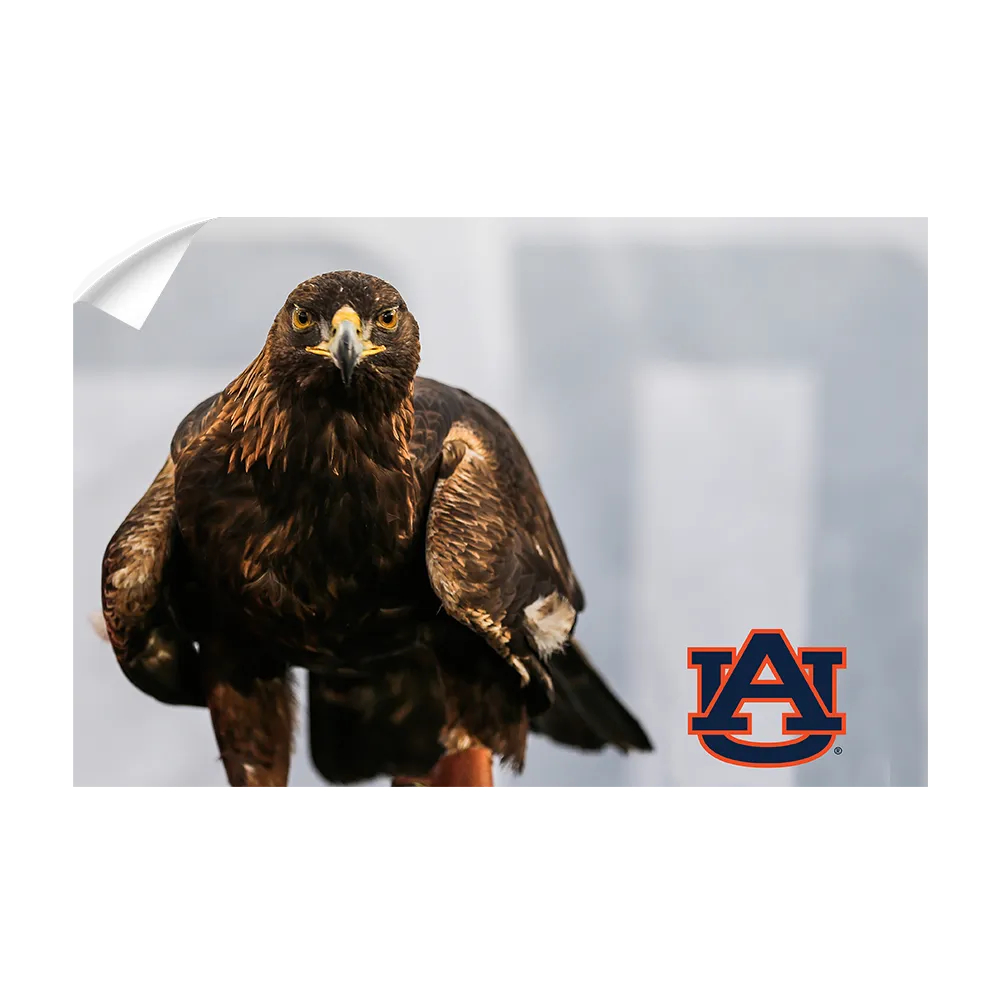 Auburn Tigers - War Eagle