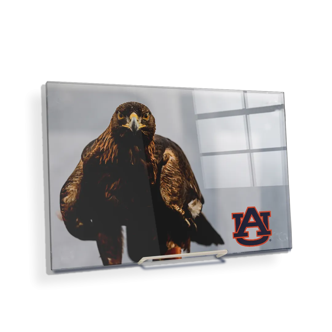 Auburn Tigers - War Eagle