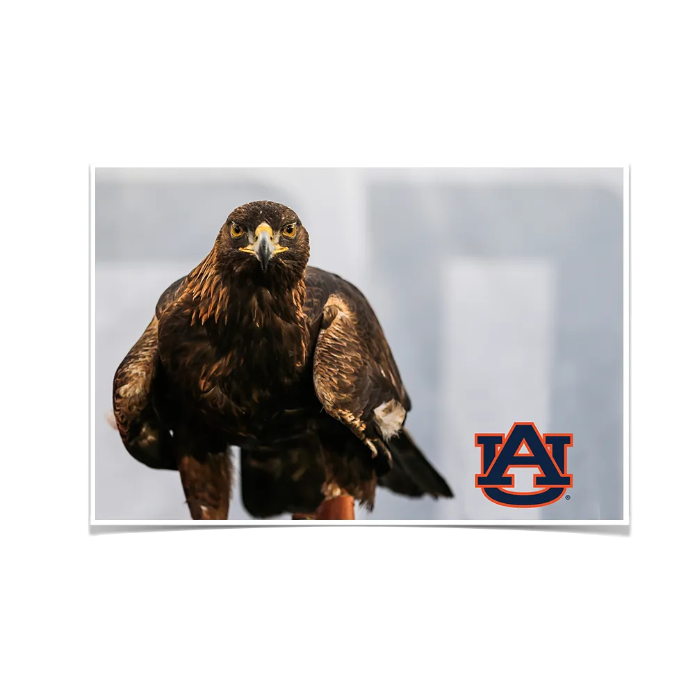 Auburn Tigers - War Eagle