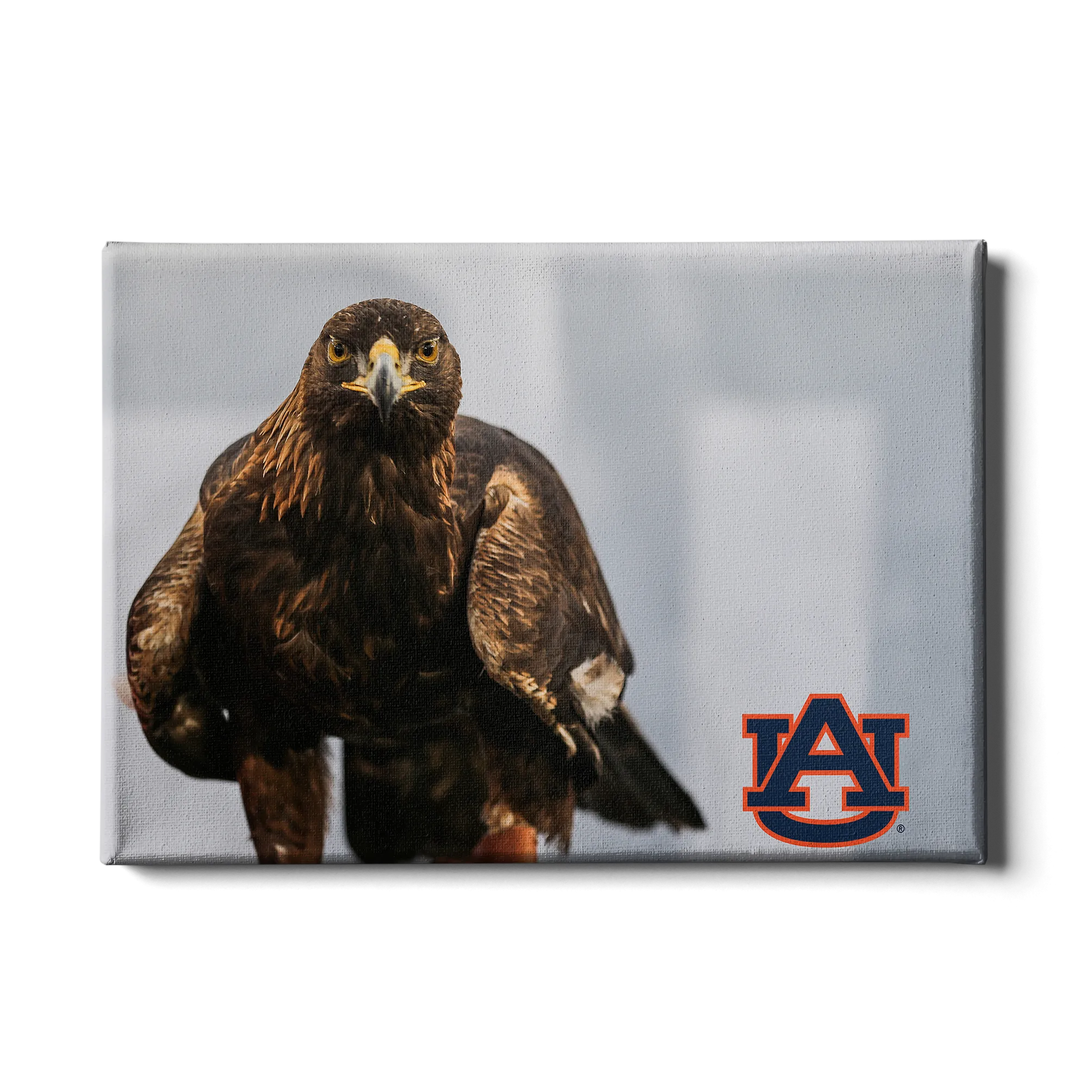 Auburn Tigers - War Eagle