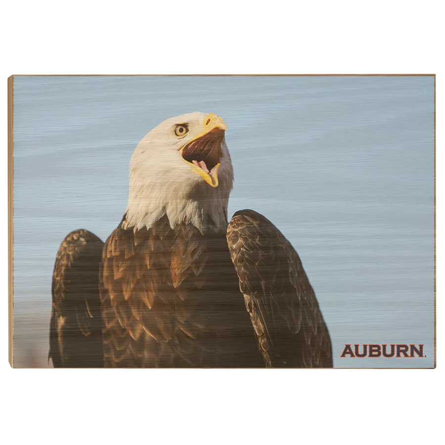 Auburn Tigers - War Eagle