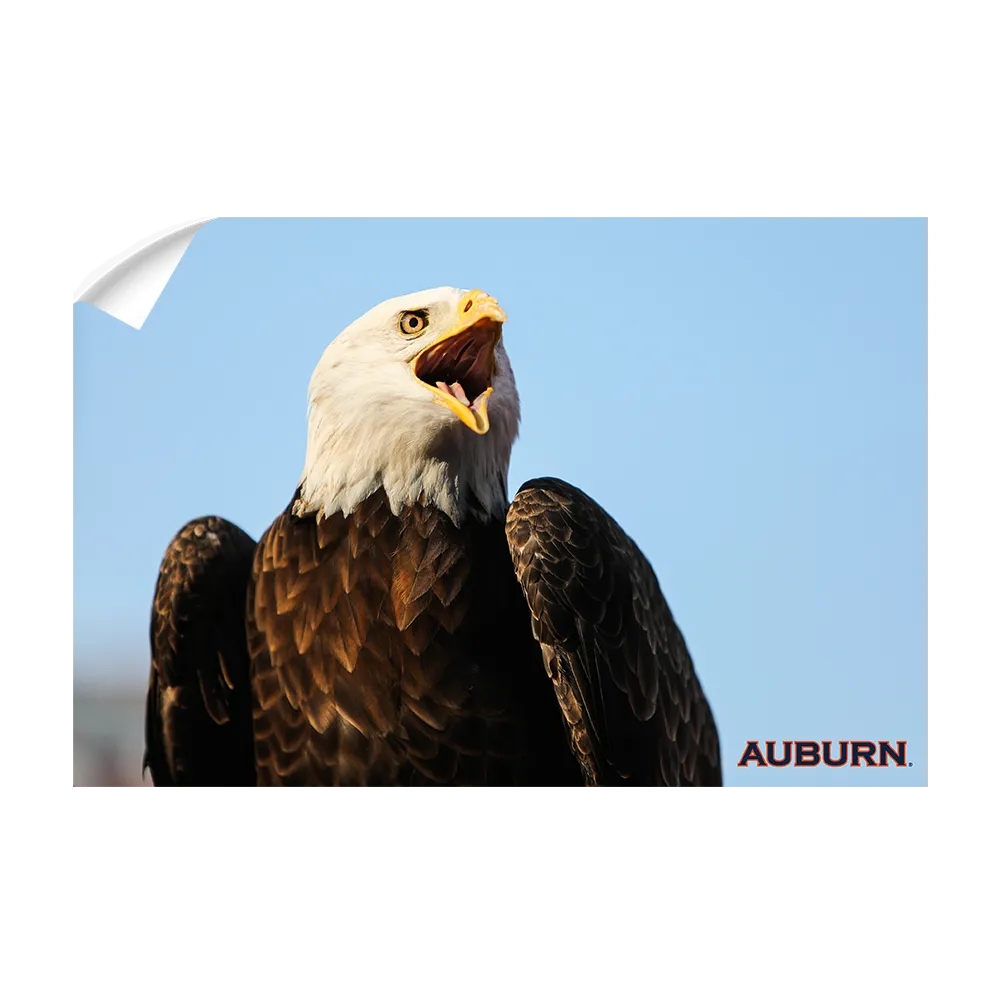 Auburn Tigers - War Eagle