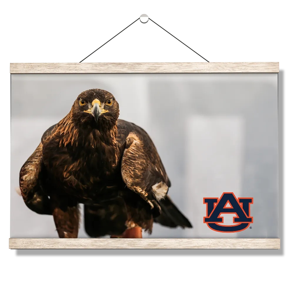 Auburn Tigers - War Eagle