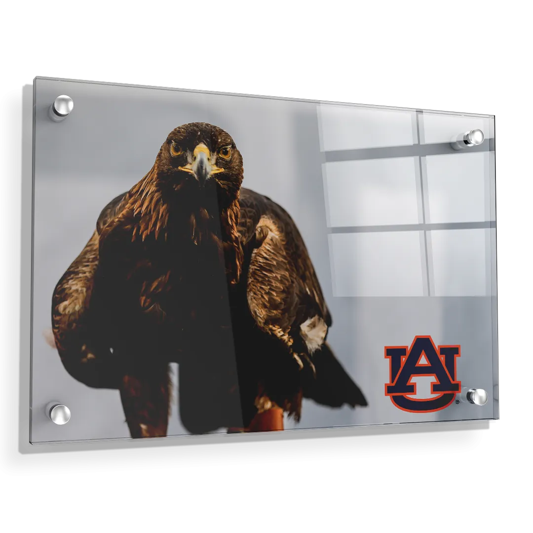 Auburn Tigers - War Eagle