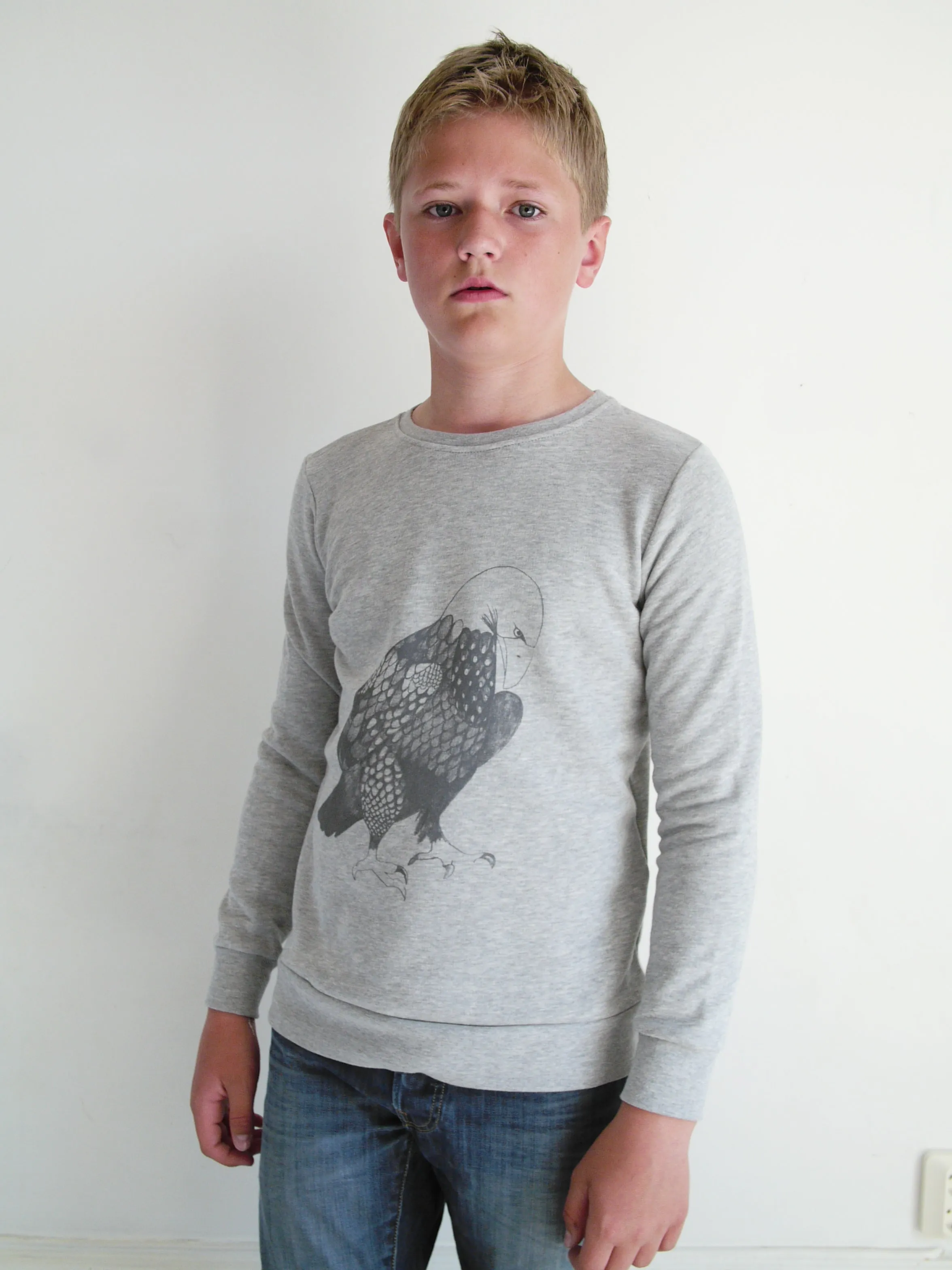 BASIC Sweatshirt Eagle Grey