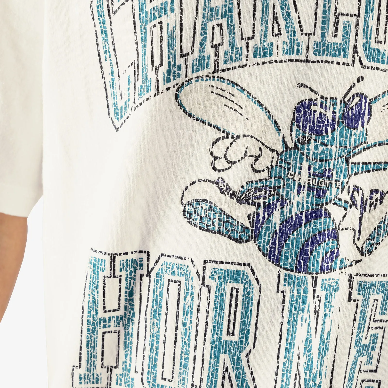 Charlotte Hornets Vintage HWC Ivy Arch Tee - White