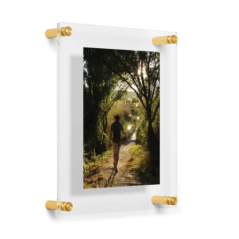 Ncentni Plastic Clear/Gold Single Wall Picture Frame