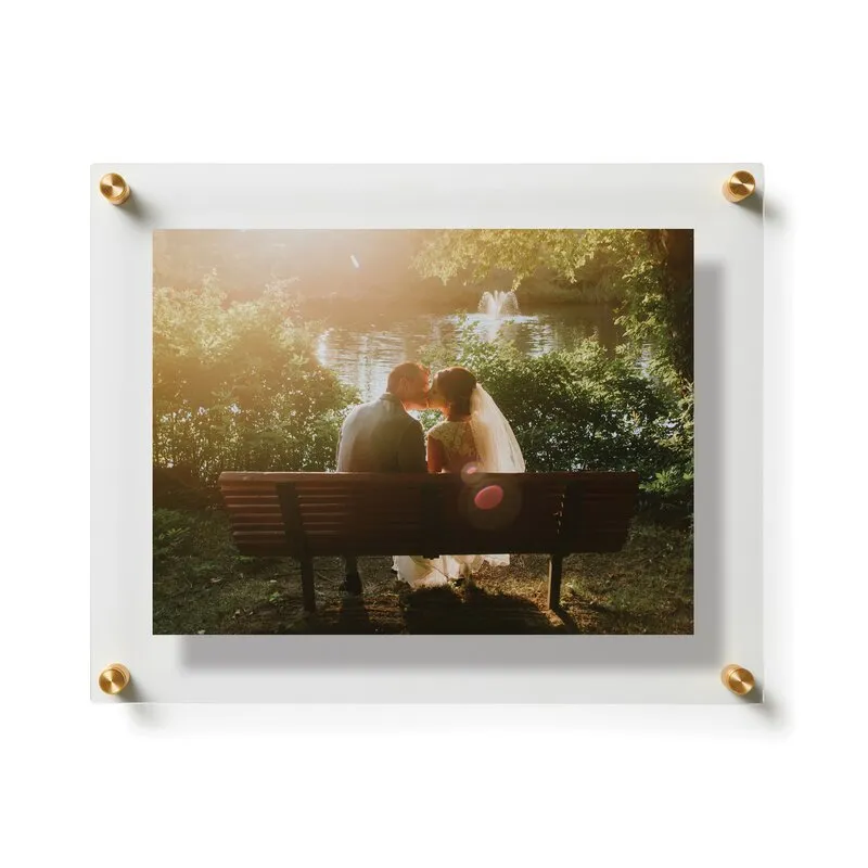 Ncentni Plastic Clear/Gold Single Wall Picture Frame