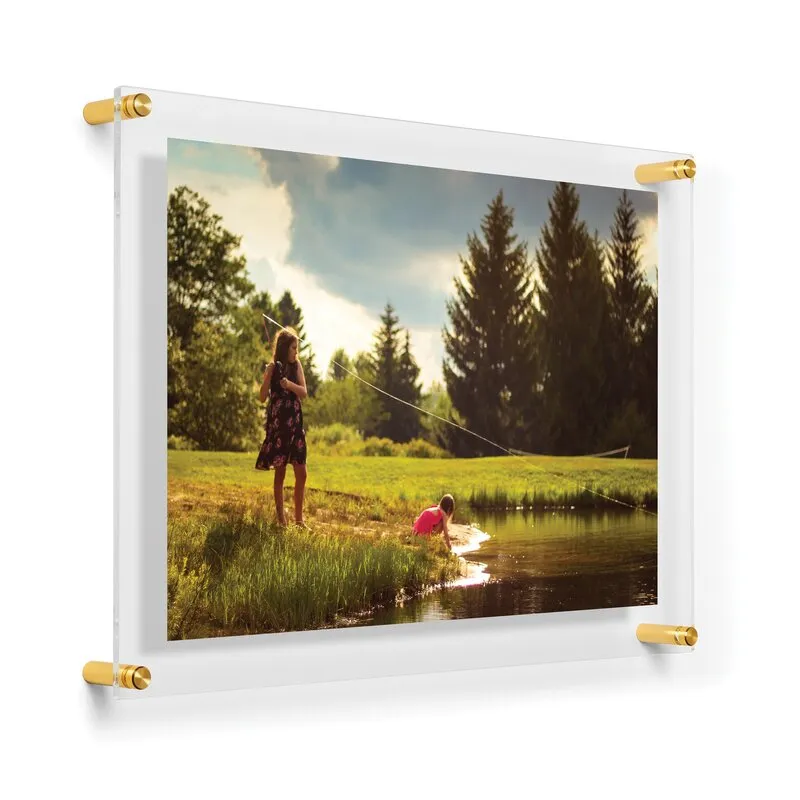 Ncentni Plastic Clear/Gold Single Wall Picture Frame