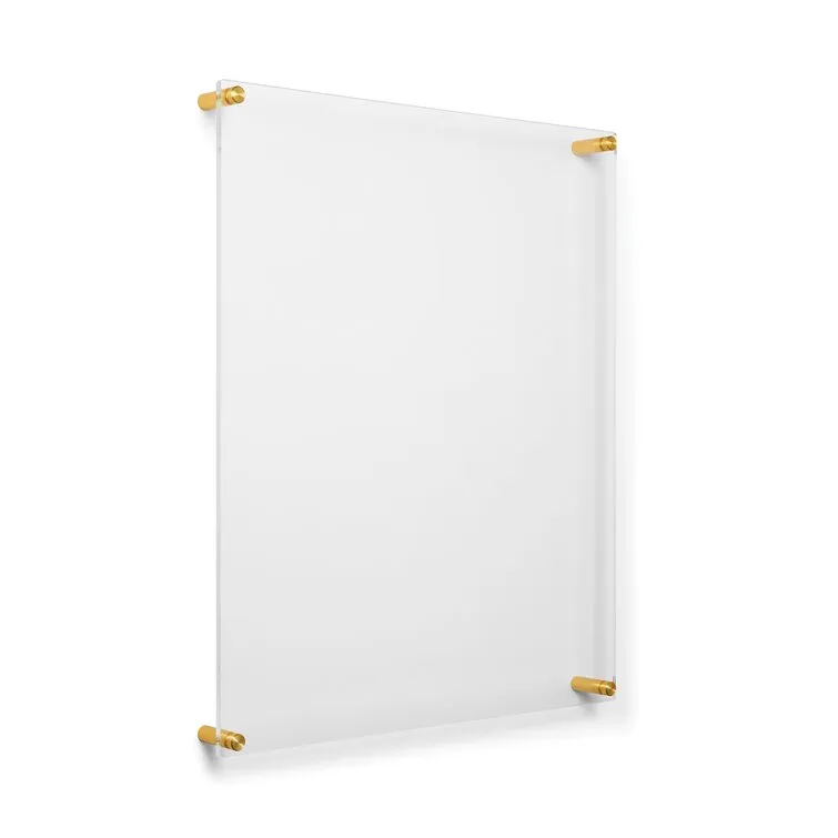 Ncentni Plastic Clear/Gold Single Wall Picture Frame