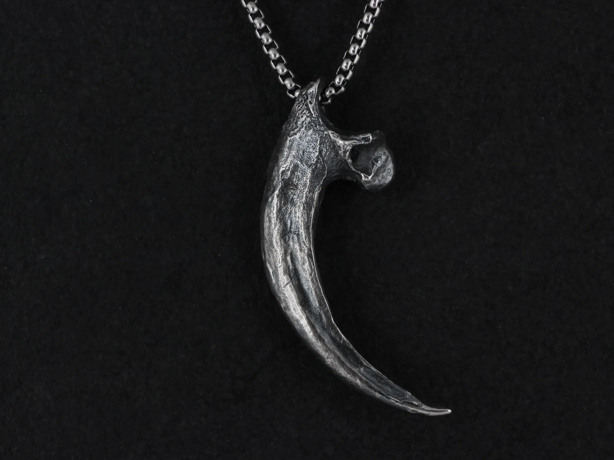 Sterling Silver Harpy Eagle Talon Necklace